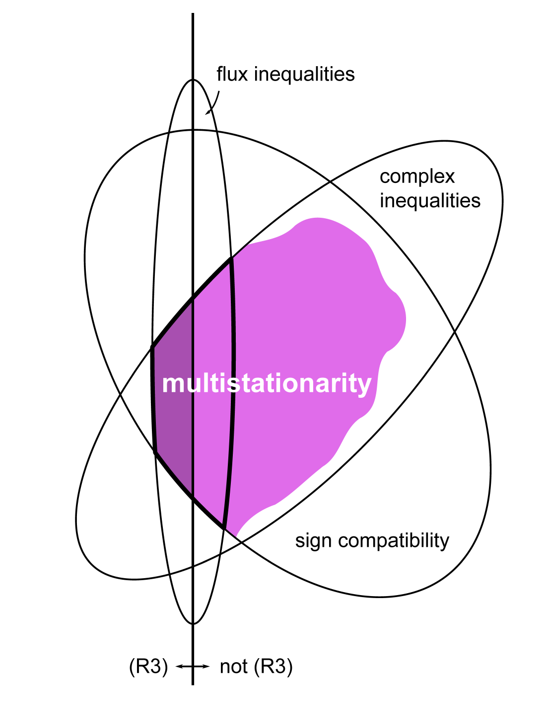 Enlarged view: Relation between constraints and multistationarity in a network.
